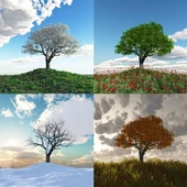 Dört Mevsim Ağaç 2 - Kanvas Tablo thumbnail 1