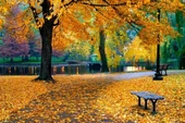 Sonbaharda Park - Kanvas Tablo - 1
