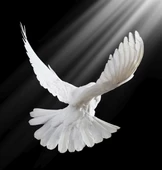 Aydınlığa Kanat Çırp - Kanvas Tablo thumbnail 1