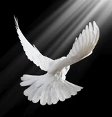 Aydınlığa Kanat Çırp - Kanvas Tablo thumbnail 1