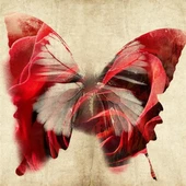 Kırmızı Beyaz Kelebek - Kanvas Tablo thumbnail 1