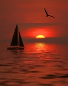 Gün Batımında Yelkenli ve Martı - Kanvas Tablo thumbnail 1