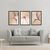 Cream Çerçeveli Poster Seti thumbnail 2