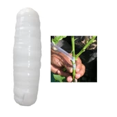 1 Rulo Aşı Bandı / Aşı Bağı / Aşı Fidan Bağı 1. Kalite - 3