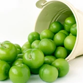 4 Yaş Aşılı Papaz Eriği Fidanı, Saksıda - 1