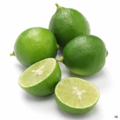 3 Yaş Aşılı Dikensiz Mexican Lime Fidanı, Torbada - 1