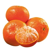 3 Yaş Aşılı Kokulu King Mandalina Fidanı, Torbada - 1