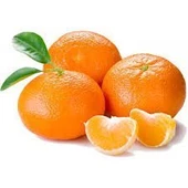 3 Yaş Aşılı Mandalina Fidanı, Torbada - 1