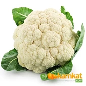 Karnabahar Tohumu 500 Adet - 1