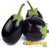 Topan Patlıcan Tohumu 25 gr Paket - 1
