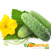 Kornişon Tohumu 250 Adet Tohum 10 gr Paket - 1