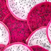 (2 KIRMIZI 2 BEYAZ) Ejder Meyvesi Pitaya Fidanı, Büyük Boy thumbnail 1