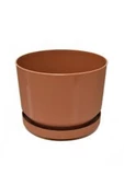 3No Saksı 6Lt Royaleks-S283 - 1