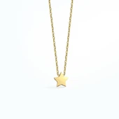 14 Ayar Altın Kaplama Yıldız Gümüş Kolye CN00142 thumbnail 5