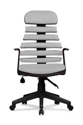 Ev ve Ofis Çalışma Sandalyesi Bilgisayar ve Yönetici Koltuğu Zebra Model Gri - 1