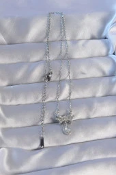 316L Çelik Zincirli Gümüş Renk Zirkon Taşlı Damla Detay Fiyonk Model Kolye - EBJ240714W25412 thumbnail 2