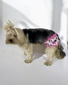 Mouse Minnies Kemique's Secret Köpek İç Çamaşırı Regl Külot Don - 5