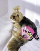 Mouse Minnies Kemique's Secret Köpek İç Çamaşırı Regl Külot Don - 4