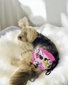 Mouse Minnies Kemique's Secret Köpek İç Çamaşırı Regl Külot Don - 1