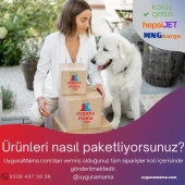 Ferplast Pa 6565 Kauçuk Köpek Kemik Oyuncağı Large - 2
