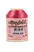 3 Adet Altınbaşak Oya ve Dantel İpi 20 gr - Royaleks - No: 858 - 3