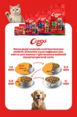 Cango Yetişkin Kedi Maması Somonlu 1 Kg 5'li - 5