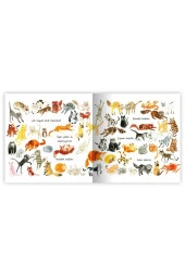 Kedi Koleksiyonu - 2