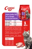 Cango Yetişkin Kedi Maması Tavuk Etli 1 Kg 5'li - 4