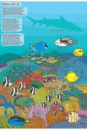 Yer Altı Su Altı thumbnail 3