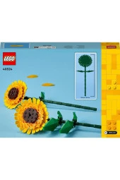 40524 Iconic Ayçiçeği - 4