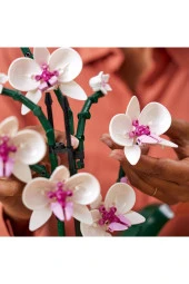 ® ICONS Orkide 10311 - Yetişkinler İçin Koleksiyonluk Dekoratif Yapım Seti (608 Parça) - 6