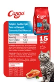 Cango Yetişkin Kedi Maması Somonlu 15KG - 4