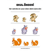 Okul Öncesi ve Birinci Sınıflar Matematik Başlangıç Seti thumbnail 5