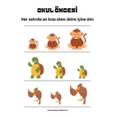 Okul Öncesi ve Birinci Sınıflar Matematik Başlangıç Seti thumbnail 6