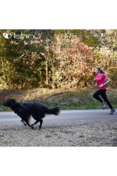 Lishinu Yeşil Akıllı Kontrol Gezdirme M 8-12 Kg thumbnail 2