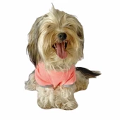 Pink Bunny Braid Kapşonlu Sweat by Kemique Köpek Kazağı - 4