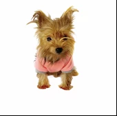 Pink Bunny Braid Kapşonlu Sweat by Kemique Köpek Kazağı - 5