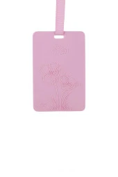 AIRGUT3962 KOKU ASMA ARAC ICI TATLI DUSLER thumbnail 2