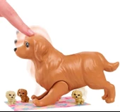 Barbie ve Yeni Doğan Köpekler Oyun Seti, 3 yaş ve üzeri, HCK75 - 3