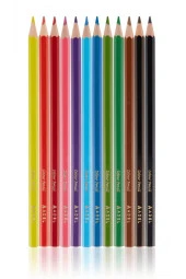 Adel Kuru Boya Kalemi Karton Kutu 12'Li Tam Boy 2112315001000 thumbnail 2