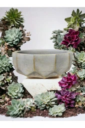 Geometrik Kaktüs Sukulent Aranjman Saksısı thumbnail 1