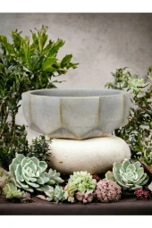 Geometrik Kaktüs Sukulent Aranjman Saksısı thumbnail 3