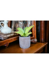 Peygamber efendimizin gözyaşı çiçeği @12 thumbnail 2