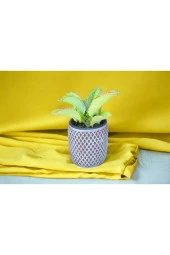 Peygamber gözyaşı çiçeği dekoratif saksıda sarbe thumbnail 1