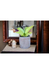 Peygamber efendimizin gözyaşı çiçeği @12 thumbnail 3