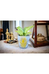 Peygamber gözyaşı çiçeği dekoratif saksıda thumbnail 1