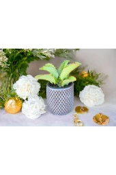 Peygamber efendimizin gözyaşı bitkisi thumbnail 2