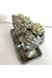 Helen 3'lü Saksı Tabla 3 Adet Sukulent thumbnail 3