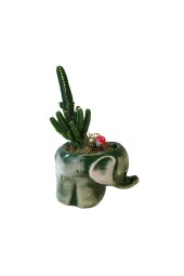 Seramik Fil Saksıda Kaktüs - Dekoratif - Hediye thumbnail 1