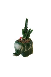 Seramik Fil Saksıda Kaktüs - Dekoratif - Hediye thumbnail 2